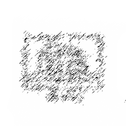 Renders & Illustrations